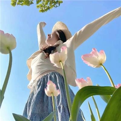 荒江女侠